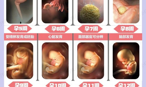 二婚一个月生活费网 | 二婚一个月生活费怎么算,二婚一个月生活费怎么算