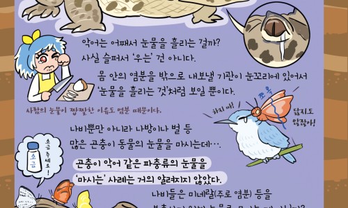 二婚一个月生活费网 | 二婚一个月生活费怎么算,二婚一个月生活费怎么算